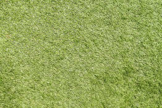 A green grass texture background photo