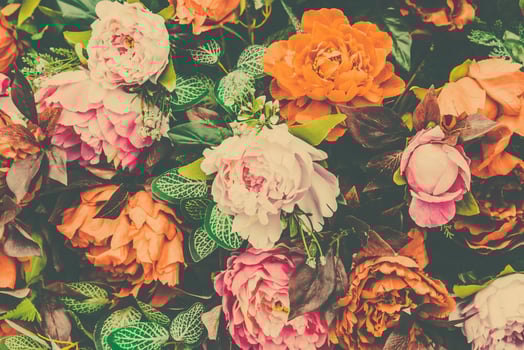A bunch of colorful flowers are shown in this photo