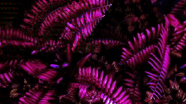 Vertical garden with tropical pink leaf, contrast photo
