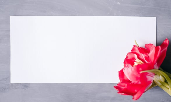 Blank paper copy space. Frame with flowers. Silk ribbon. Gray background. Simple bouquet. Greeting card. photo