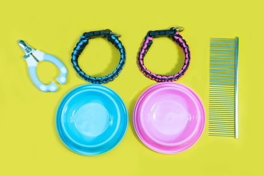 Pet accessories concept.  bowl, collars, comb and nail scissors on yellow background. photo