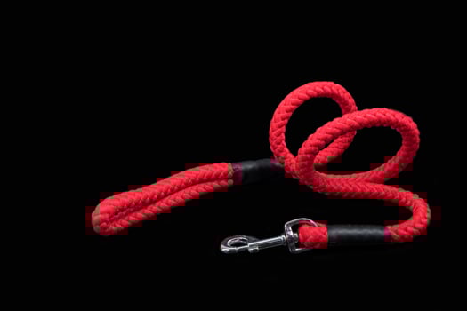 Dog leash on isolated black background.  Pet accessories concept. photo