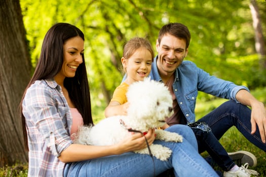 Beautiful happy family is having fun with bichon dog outdoors photo