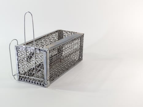 Cage mouse trap on white background photo