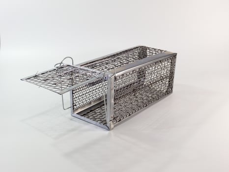 Cage mouse trap on white background photo
