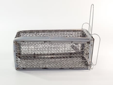 Cage mouse trap on white background photo