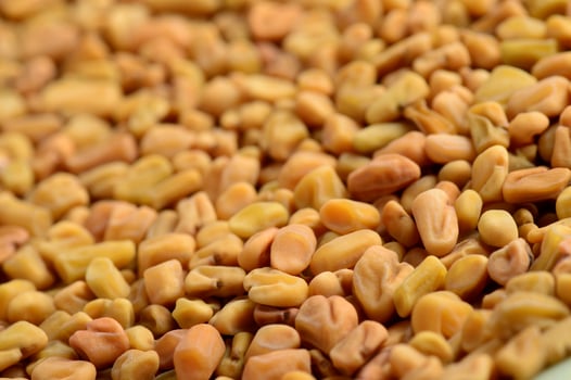 Fenugreek seeds as background. Close up texture photo