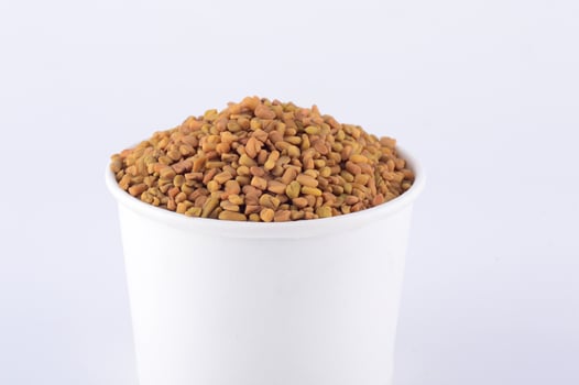 Fenugreek seeds in white plate isolated on white background photo