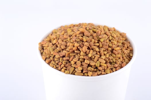 Fenugreek seeds in white plate isolated on white background photo