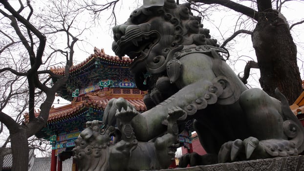 stone Chinese lion statue in the forbidden city photo