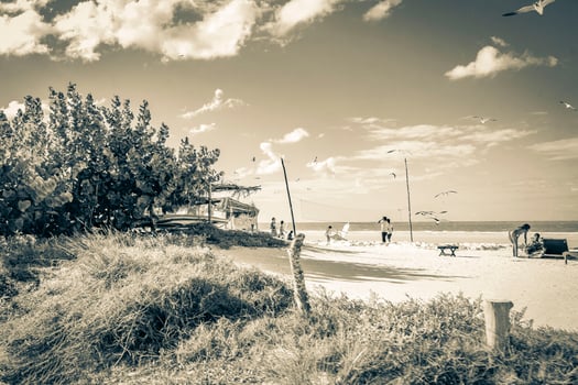 Holbox Quintana Roo Mexico 2021 Beautiful Holbox island beach sandbank panorama palapa sun loungers Mexico. photo