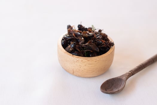 Fried crickets as high protein food edible insects in wooden bow with spices photo
