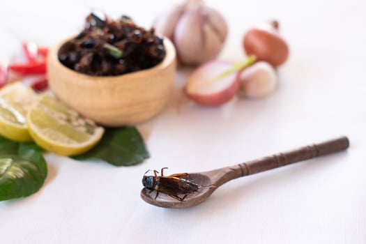 Fried crickets as high protein food edible insects in wooden bow with spices photo