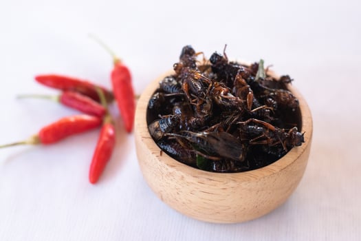 Fried crickets as high protein food edible insects in wooden bow with spices photo