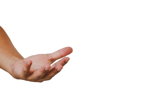 Male hands on a white background.Copy space. photo