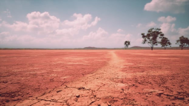 cracked ground dry land during the dry season photo