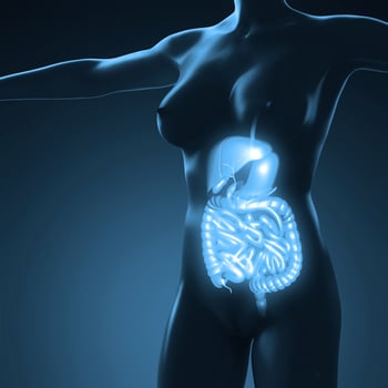 science anatomy of human body with glow digestive system photo