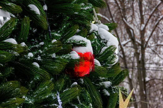 Beautiful decorations on Christmas tree. photo