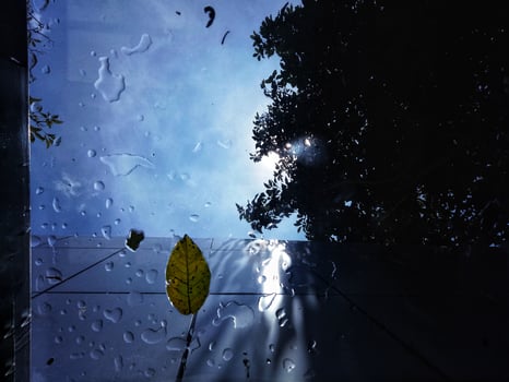 Photo from under the glass roof of a building that was hit by raindrops and leaves falling from trees
