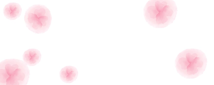 pink background flower, pink floral photo