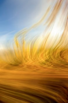Colorful, unique and original abstract backgrounds created from photographs of natural things and places. photo