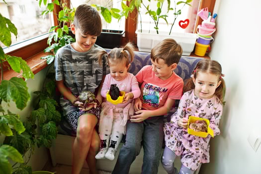 Four children holding their favorite pets on hands. Kids playing with hamster,turtle at home. photo