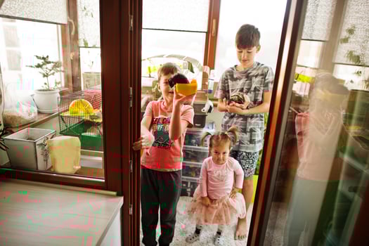 Childrens holding their favorite pets on hands. Kids playing with hamster,turtle and parrots at home. photo