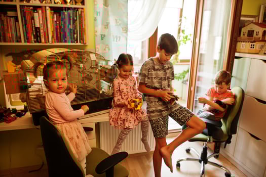 Four children holding their favorite pets on hands. Kids playing with hamster,turtle and parrots at home. photo