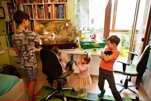 Four children holding their favorite pets on hands. Kids playing with hamster,turtle and parrots at home. photo