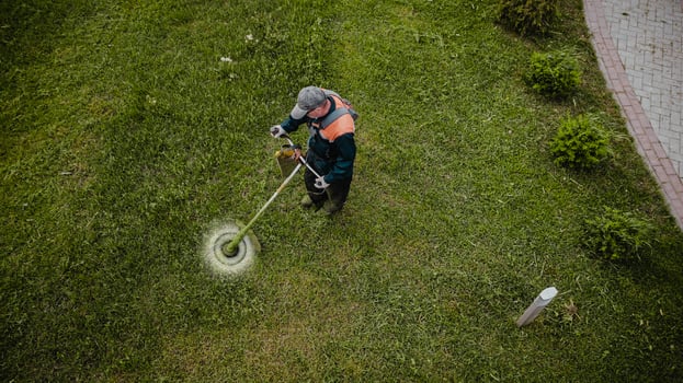 the lawnmower man mows the lawn the view from the top photo