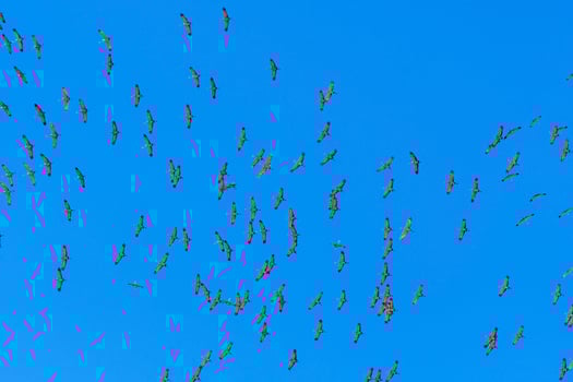 Looking up at Tornado of Cranes photo