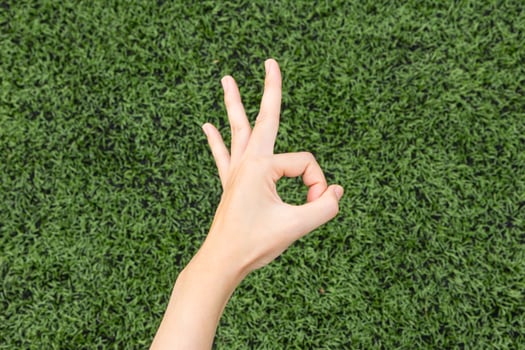 Girl Thumbs ok on background lawn. photo