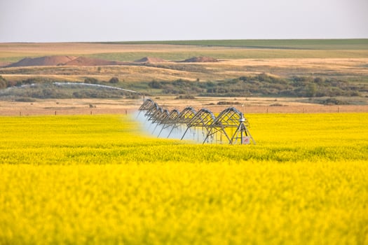 Irrigation sprinklers at work photo