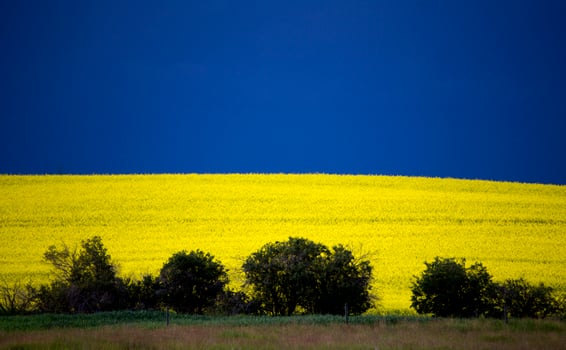 Prairie Storm Clouds photo