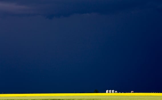 Prairie Storm Clouds photo