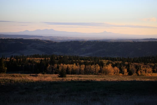 Autumn Colors Cypress Hills Canada photo
