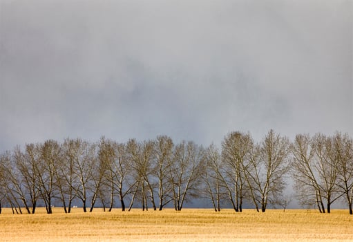 Saskatchewan Canada Landscape photo