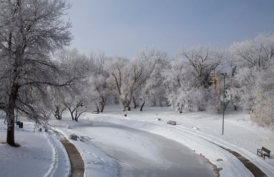 Hoar Frost Prairie photo