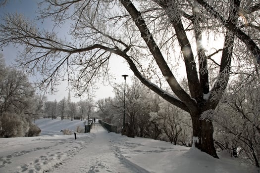 Hoar Frost Prairie photo