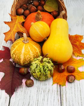 Pumpkin and leaves photo