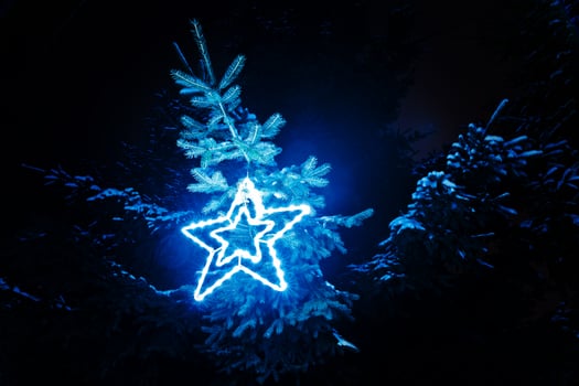 Shining star of garlands outdoor on frozen evening photo
