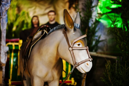 Very large christmas nativity crib. Burro photo