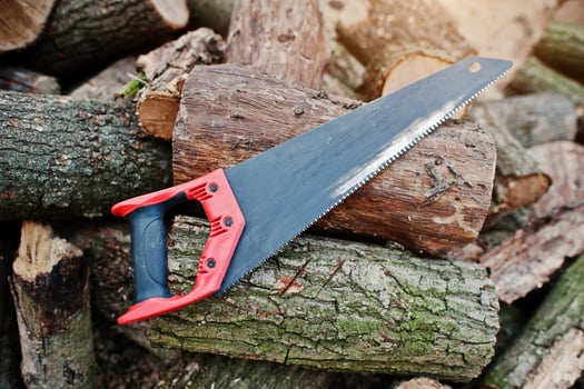 Saw in stump background chopped firewood. photo