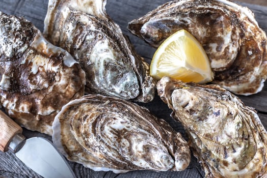 Raw oysters on the board photo
