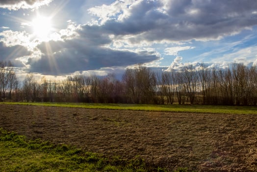 Plowed field, ready for planting. Forest belt protecting the field from the wind. Spring. Sun rays on a cloudy sky photo