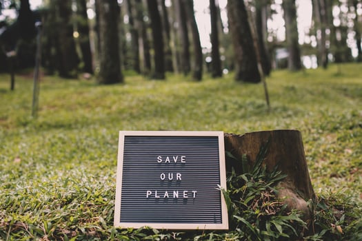 Felled tree and Quote on letter board says Save Our Planet lying on the green grass of the forest photo