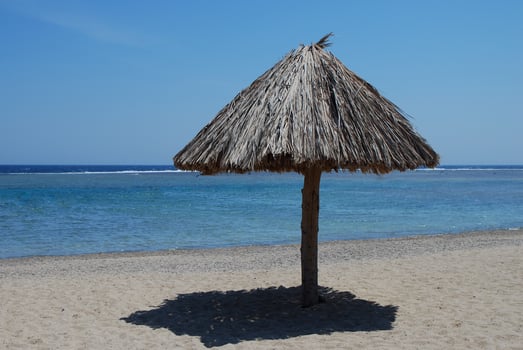 umbrella at the beach photo