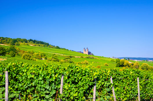 Vineyards green fields landscape with grapevine rows and Eibingen Benedictine Abbey of St. Hildegard on hills photo