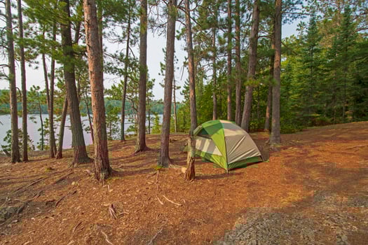 Quiet Campsite on a North Woods Lake photo
