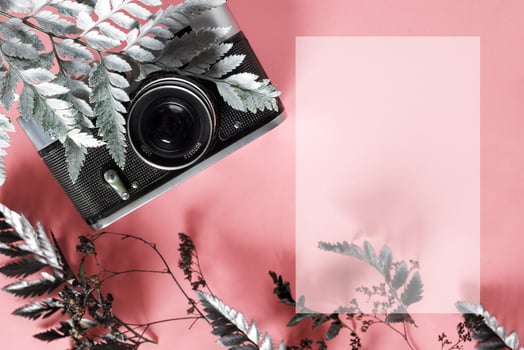 blank for decorating postcards or a gift certificate for a photographer. Old camera on a pink background with gray dried flowers and space for text photo